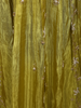 Olive Chartreuse Green Floral Sequins and Beads Embroidered Design Satin Partywear Gown with Dupatta