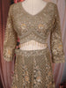 Olive Green Floral Sequins Embroidered Design Net Lehenga With Dupatta