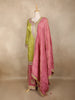 Olive Green and pink Zari Embroidered Design Tissue Silk Palazzo Suit