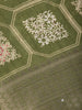 Olive Green Floral hexagonal Printed Cotton Saree - Diadem