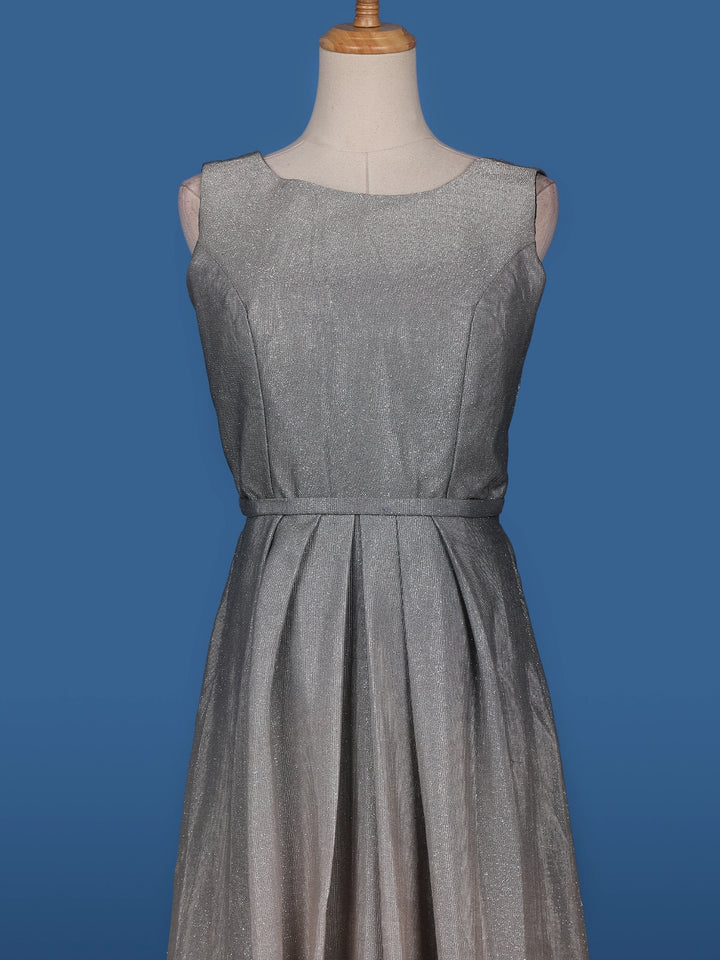 Ombre Effect Shimmer Solid Party Wear Gown - Diadem