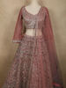 Diadem Women Dusty Rose Net Lehenga Choli Heavy Embroidered Designer Wedding Wear