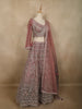 Diadem Women Dusty Rose Net Lehenga Choli Heavy Embroidered Designer Wedding Wear