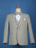 Pale Green Plain Men's Suit - Diadem