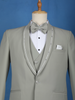 Pale Green Plain Men's Suit - Diadem