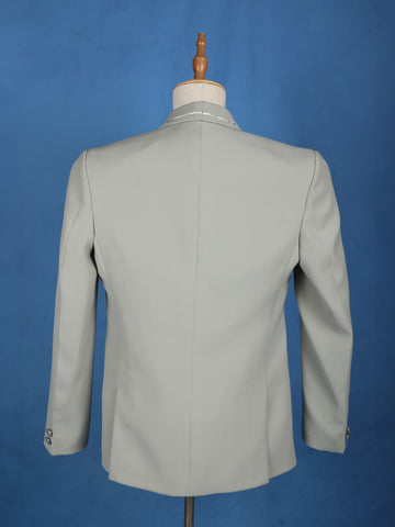 Pale Green Plain Men's Suit - Diadem