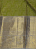 Parrot Green paisley Woven Pure Kanchipuram Silk Saree - Diadem