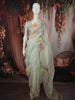 Pastel Blue Floral Vine Printed Design Pure Organza Saree with Scalloped Border