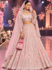 Pastel Blush Pink Floral Vine Sequins and Beads Embroidered Net Bridal Lehenga with Matching Designer Dupatta