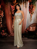 Pastel Green Heavy Mirror and Beads Embroidered Design Shimmer Party Wear Corset Gown with Choker Dupatta