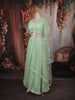 Pastel Green Heavy Sequins Embroidered Design Net Lehenga with Dupatta