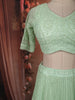 Pastel Green Heavy Sequins Embroidered Design Net Lehenga with Dupatta