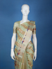 Pastel Green Stripes Design Semi Tissue Saree