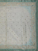 Pastel Mint Green Butta Sequins Zari Embroidered Design Pure Tissue Silk Party Wear Saree with Designer Border