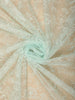 Pastel Mint Green Floral Thread Embroidered Design Net Designer Saree with Designer Border