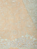 Pastel Mint Green Floral Thread Embroidered Design Net Designer Saree with Designer Border