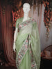 Pastel Pistachio Green Floral Butta Zari Embroidered Design Pure Organza Saree with Thread Work Border
