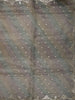 Pastel Sage Green Floral Butta Zari Embroidered Design Pure Organza Saree with Scalloped Border