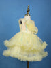 Pastel Yellow Sequins Design Net Layered Frock