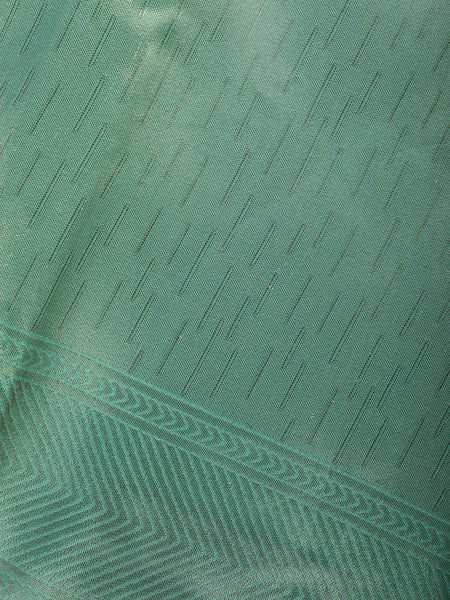 Pastel Green Minimal Design Woven Tissue Silk Saree - Diadem