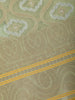 Pastel Green Paisley Motifs Tissue Silk Saree - Diadem