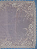Peach Floral Embroidered Design Net Organza Tissue Saree With Designer Blouse