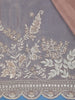 Peach Floral Embroidered Design Net Organza Tissue Saree With Designer Blouse