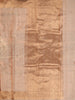 Peach Gold Butta Woven Design Tissue Saree with Gold Zari Border