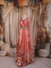 Peach Pink Traditional Motif Printed and Stone Embellished Design Tussar Silk Festive Lehenga with Matching Dupatta