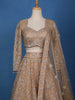 Peach Floral Embroidered Net Lehenga for Brides - Diadem