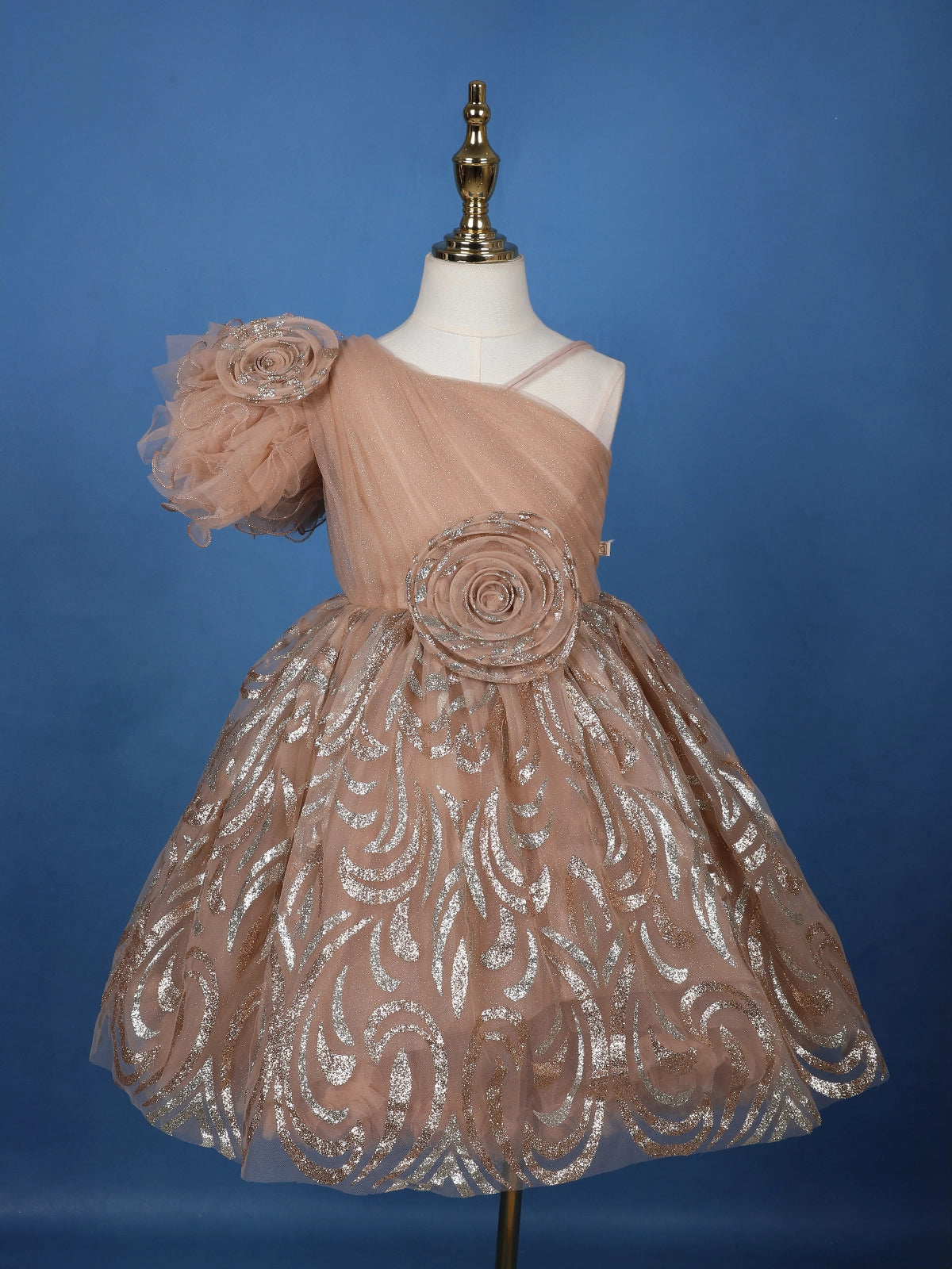 Peach One-Shoulder Glitter Net Party Frock with 3D Floral Embellishments
