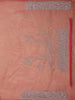 Pink Floral Embroidered Tissue Organza Saree