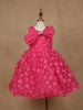 Pink 3D Floral Net Party Frock with Butterfly Brooch & Layered Bow - Diadem