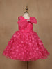 Pink 3D Floral Net Party Frock with Butterfly Brooch & Layered Bow - Diadem