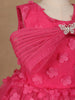 Pink 3D Floral Net Party Frock with Butterfly Brooch & Layered Bow - Diadem