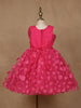 Pink 3D Floral Net Party Frock with Butterfly Brooch & Layered Bow - Diadem