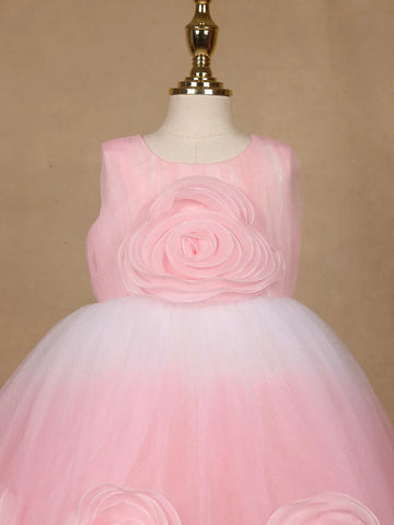 Pink 3D Floral Net Party Frock with Glitter - Diadem
