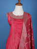 Pink Panel Anarkali Tissue Silk Salwar suit - Diadem