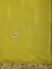 Pistachio Green Beads Embroidered Design Design Chiffon Saree