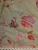Pistachio Green Floral Vine Sequins Embroidered Design Chiffon Fancy Saree with Lace Border