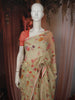 Pistachio Green Floral Vine Sequins Embroidered Design Chiffon Fancy Saree with Lace Border