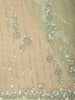 Pistachio Pastel Green Striped Sequins Embroidered Design Net Designer Saree with Designed Border