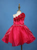 Queen Pink One-Shoulder Organza Kids Party Frock With 3D Floral Appliqué