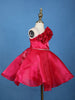 Queen Pink One-Shoulder Organza Kids Party Frock With 3D Floral Appliqué