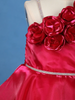 Queen Pink One-Shoulder Organza Kids Party Frock With 3D Floral Appliqué