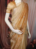 Radiant Gold Butta Embroidered Design Pure Tissue Organza Saree with Scalloped Border