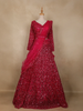Rani Pink Embellished Sequin Design Net Lehenga