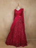 Rani Pink Embellished Sequin Design Net Lehenga