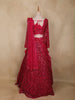 Rani Pink Embellished Sequin Design Net Lehenga