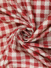 Red Checks Semi Tussar Saree With Designer Border